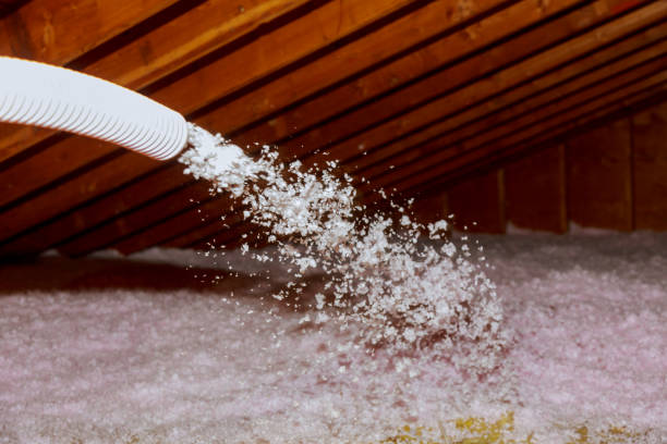 Best Insulation Installation Services in Lake Leann, MI