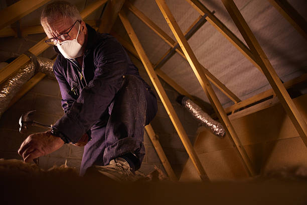 Best Insulation Maintenance and Repair in Lake Leann, MI